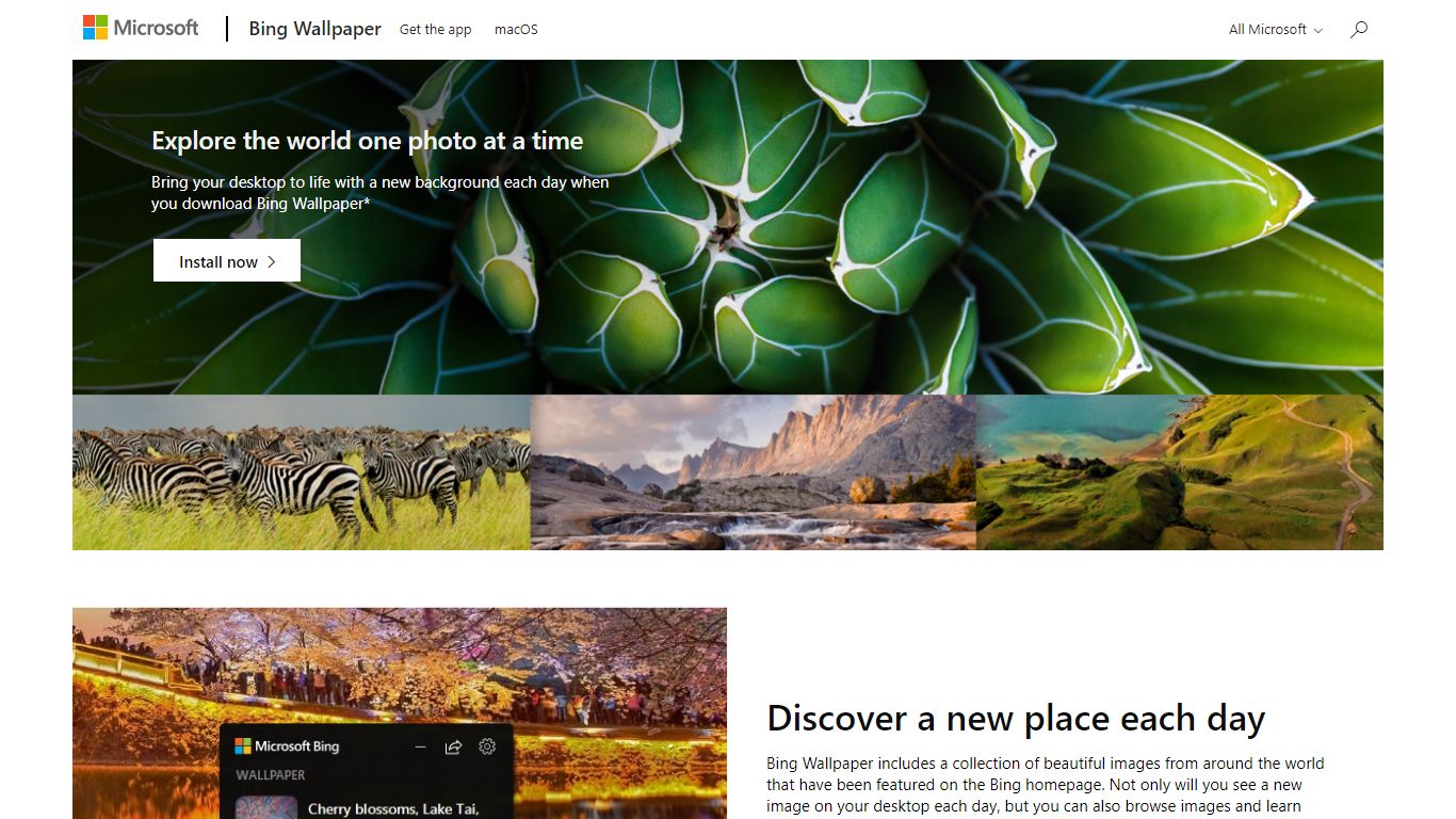 Explore the world one photo at a time | Bing Wallpaper